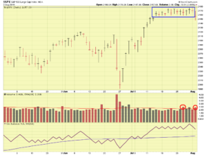 SP-500-08-02-16